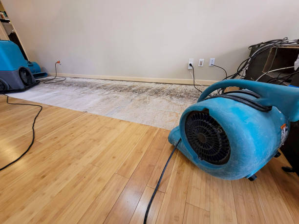 Professional Structural Drying technician working in Crosby, ND